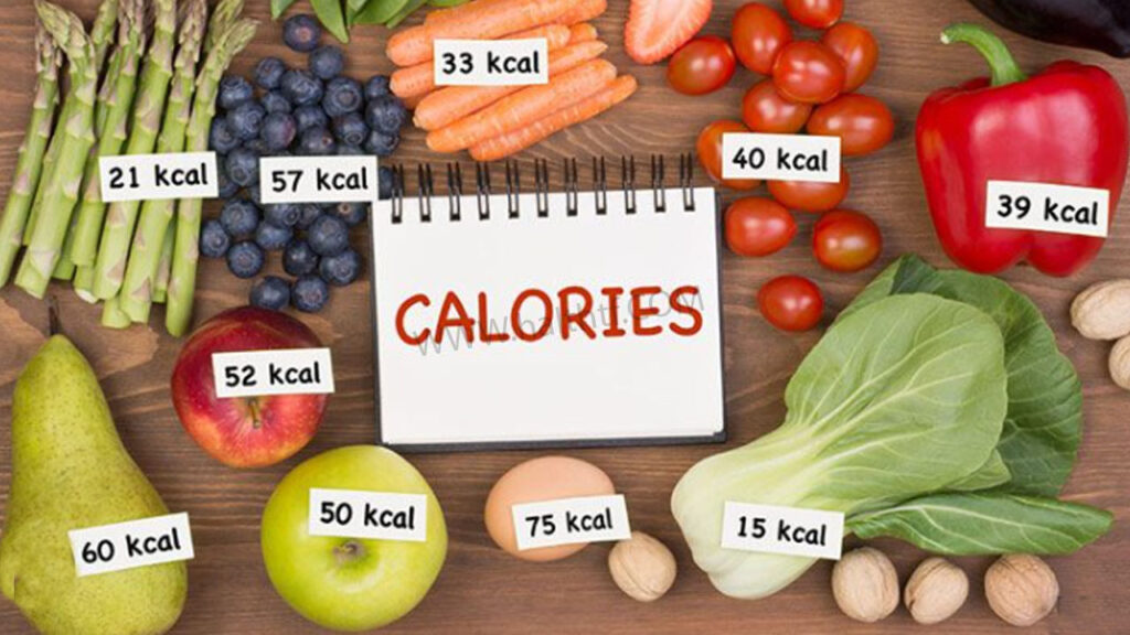 Calorie Counting How Many Calories Do You Need?